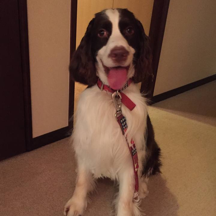 1e8d19b6 be45 4020 b3c2 0a5cebfae639