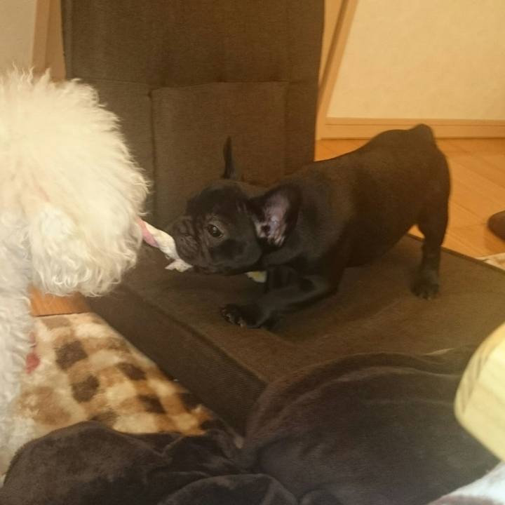 1e8de619 a6a9 4706 941b fc921d727e28