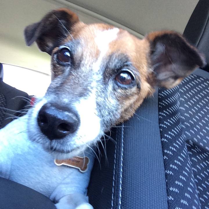 1e8e9dd2 de3e 4ae2 a979 4f04486bcf86