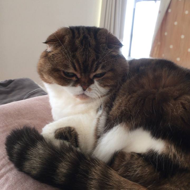 1e8f3cba 245f 47e0 a5b1 479a96c8c3f9