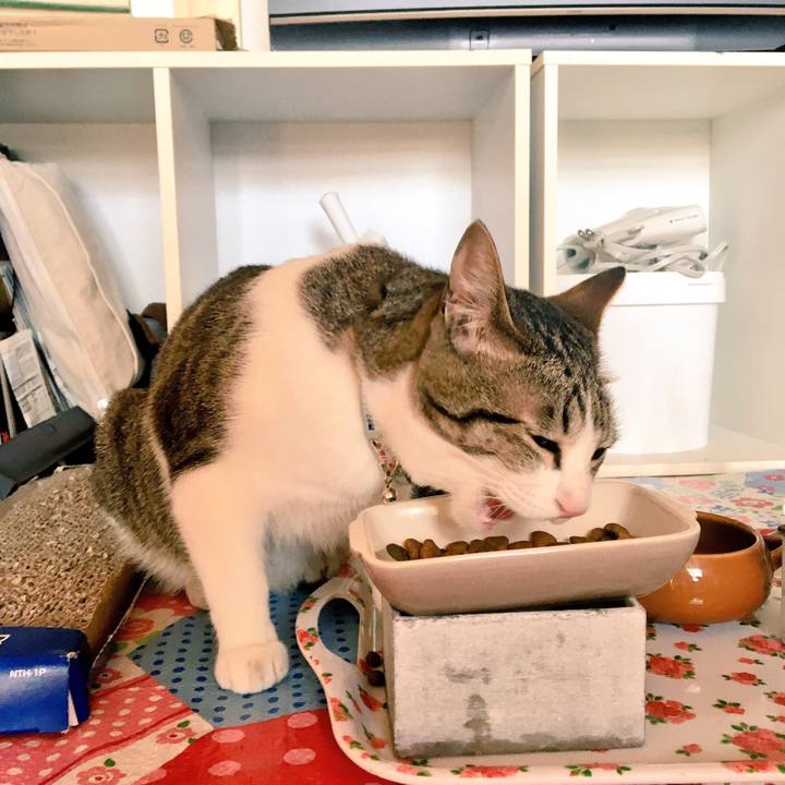 1e8f6154 7b14 4e79 be29 c9b4f3db36e0