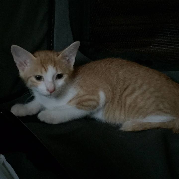 1e901b70 400b 4d22 8560 a3600c158b64