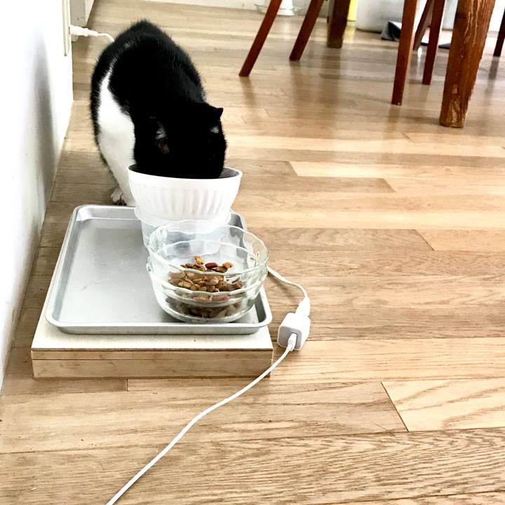 1e9180a0 4d35 4c42 b1af 5c7527979a32