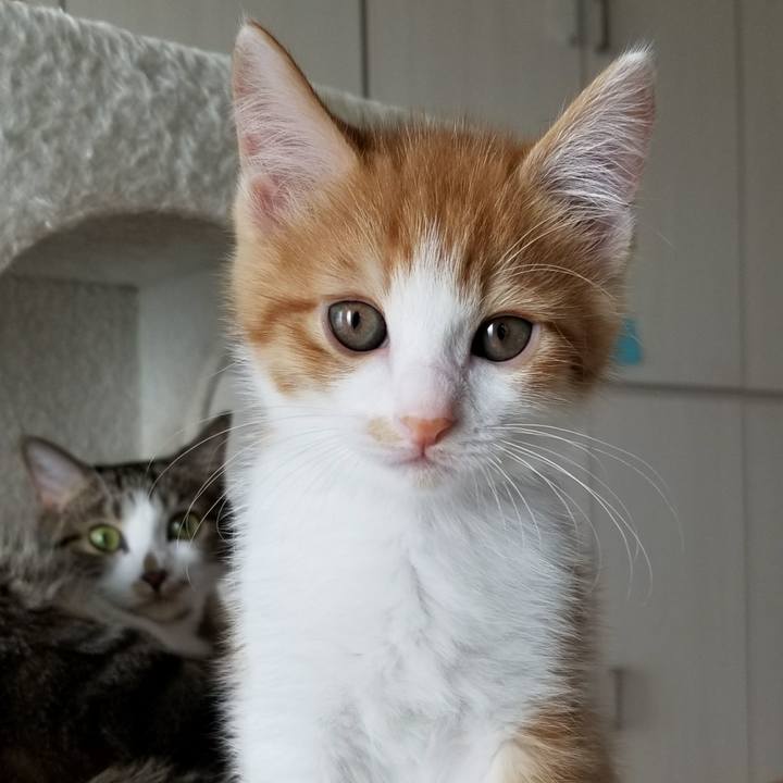 1e921e8a 484c 465c a9c7 9456d183babe