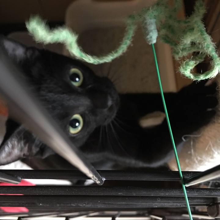 1e923804 829b 4957 8a28 9c7aceac94f2