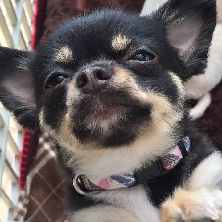 1e9274ed b76d 4932 84a8 88d7c3734db3