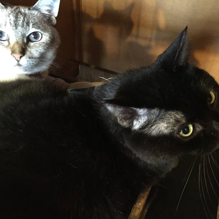 1e928d6d e090 463f b62c 773f2fc72c7e