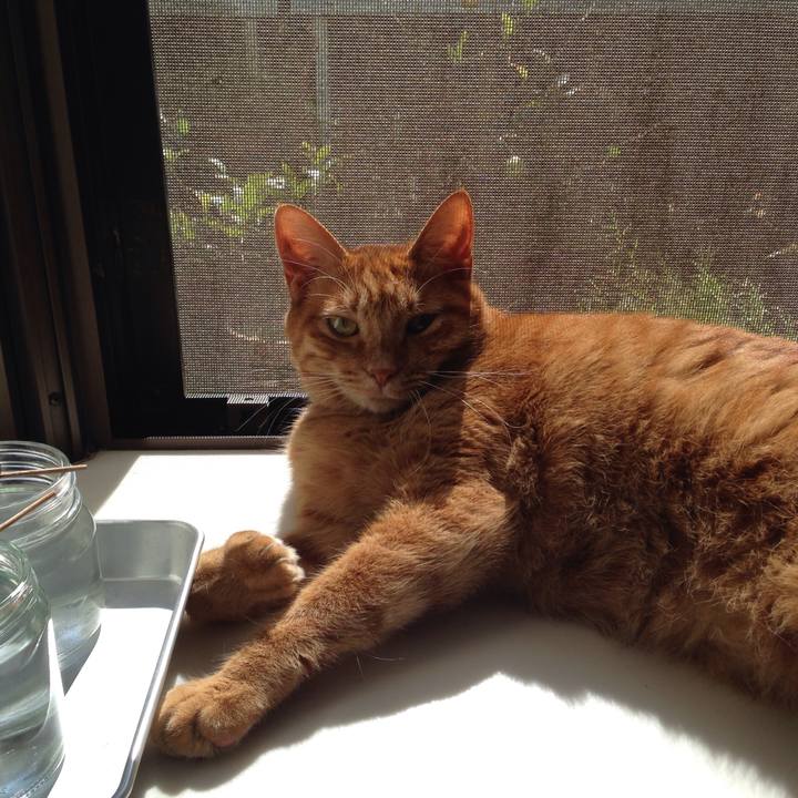 1e931cde 8ef5 4af3 ab1c a627d53c1327