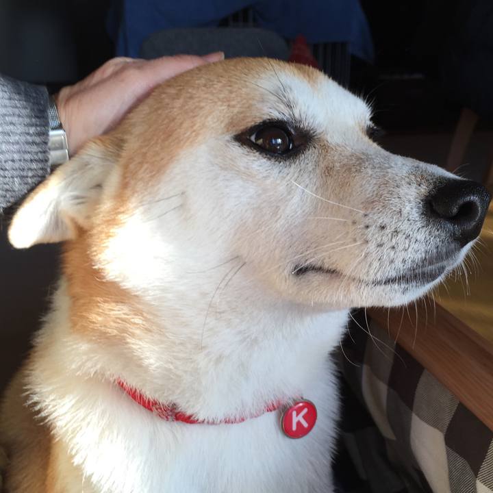 1e9369eb 5326 44bc a448 7ba203953f08