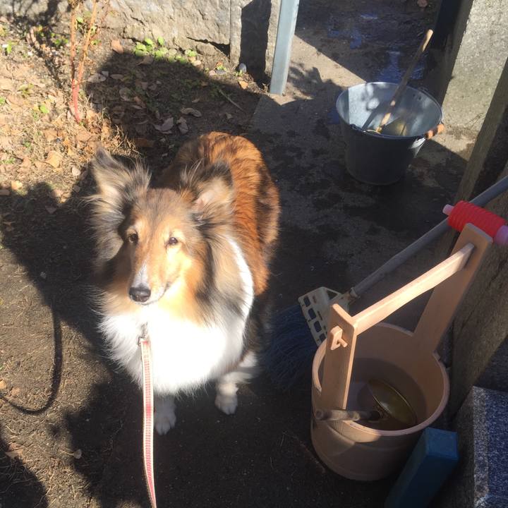 1e93a84d 316f 425f 8e38 e129c9361a18