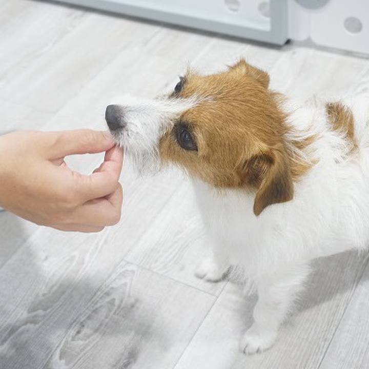 1e94018f 1c83 41e2 8c4e e21008e2d985