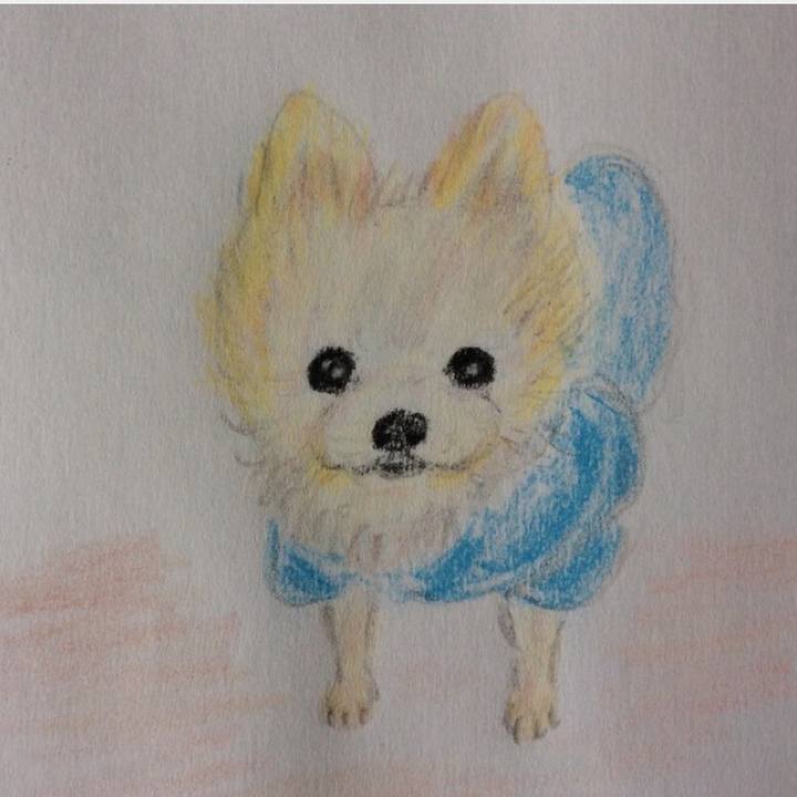 1e948a1d a8a2 4c58 b57f b027de2d59a4