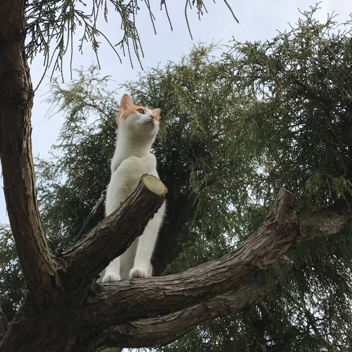 1e94bbbd 528a 428c 94e4 3fd55af05d83