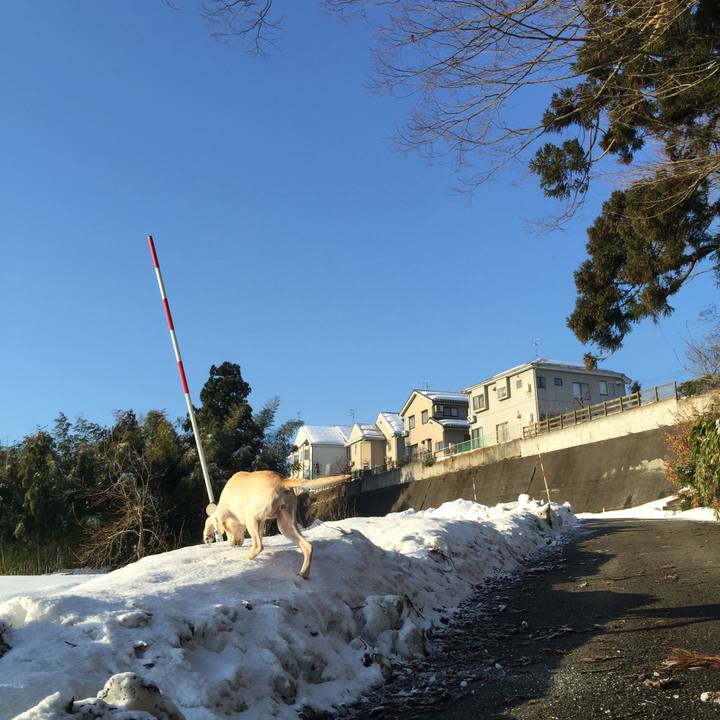 1e94fcd3 5c05 4a0b 89c8 426414c151eb