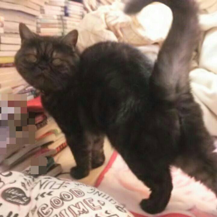 1e950529 db9d 4504 a2dd 4f33d55b6ca6