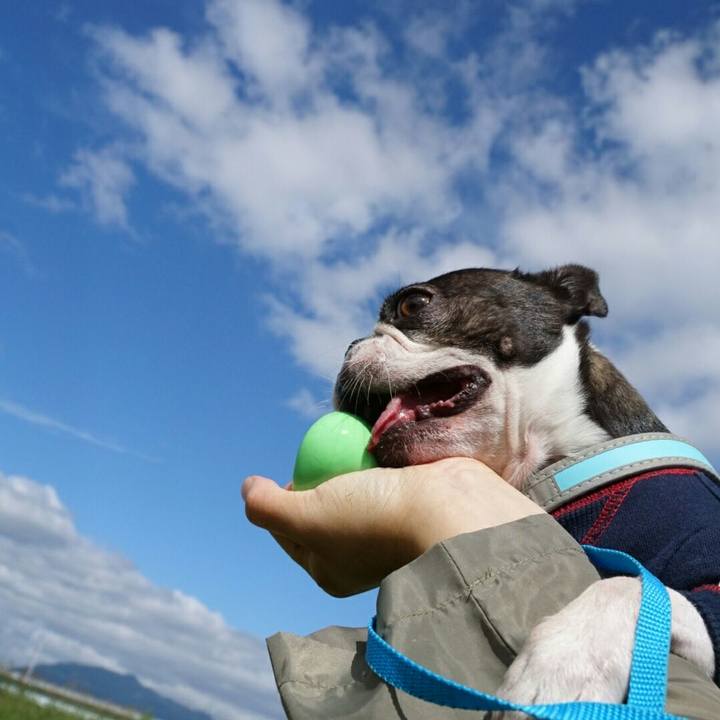 1e951c42 a3d1 4644 86e5 d868ca172bbe