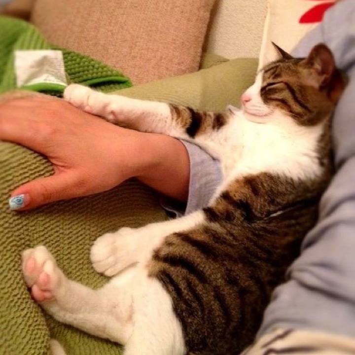 1e95f4a4 abc3 4fb1 bed3 fdecae7bfdba