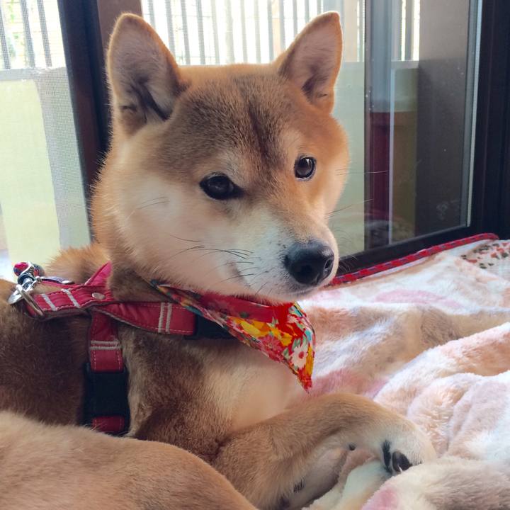 1e967833 4f4b 4e93 9579 1a44aaf6d4f6