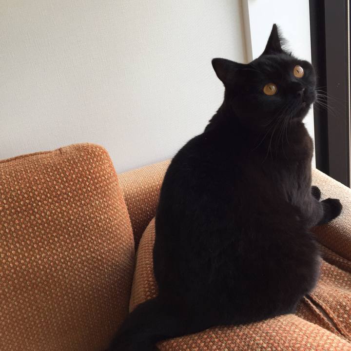 1e973ba2 b58b 4358 9240 f588413c827a