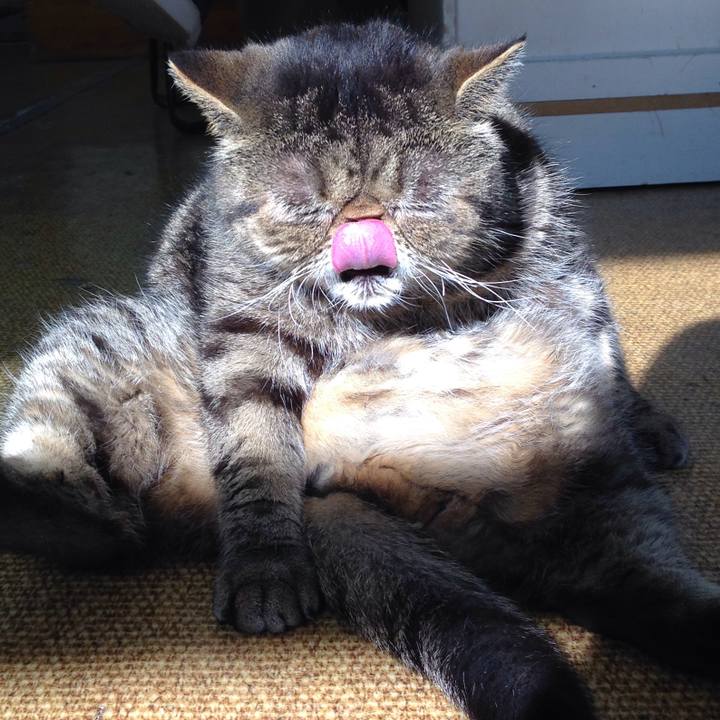 1e976011 0c08 4b3f 80bd 7f8256d1e63a