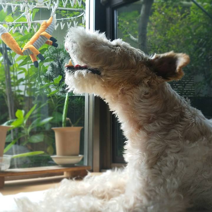 1e97a0c1 f6ee 41e2 86be e003b4c7d28a