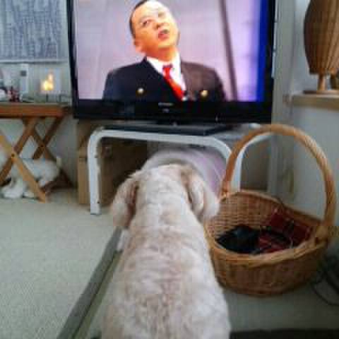 1e97e3fa 8d1c 434a 9f72 805d2aa5bc75