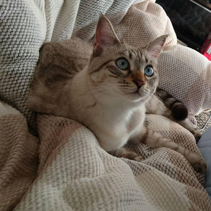 1e98b3ca 55cf 4593 b915 782de7012e21