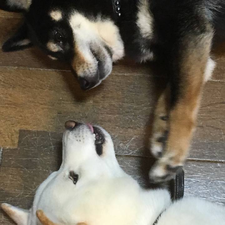 1e99a1b2 01f9 4a9d 9cbc 6e0124c24ce1