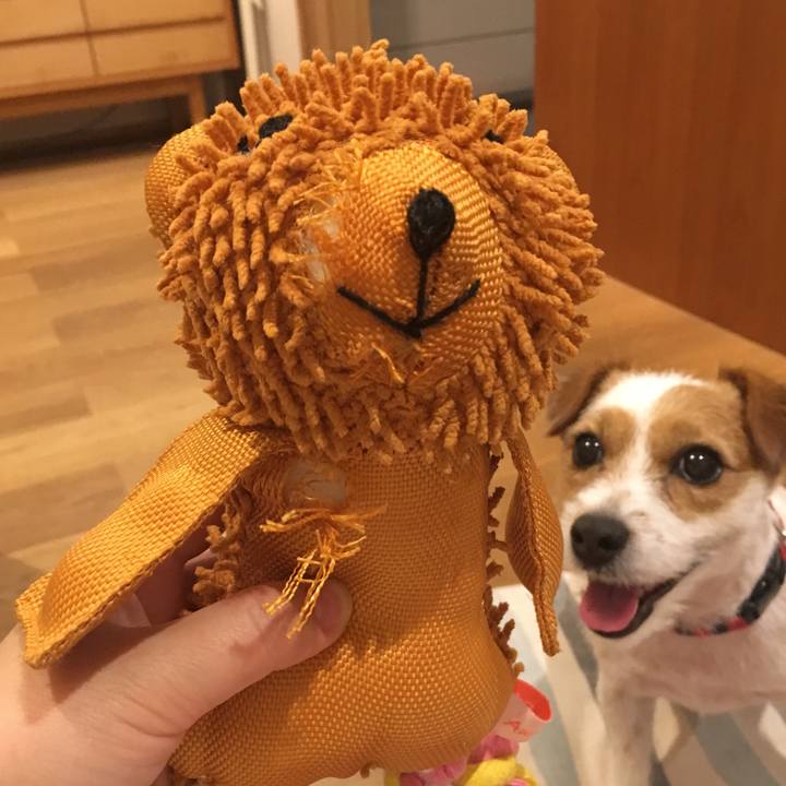 1e9a1b9e ef6c 4aff bed0 067872286f55