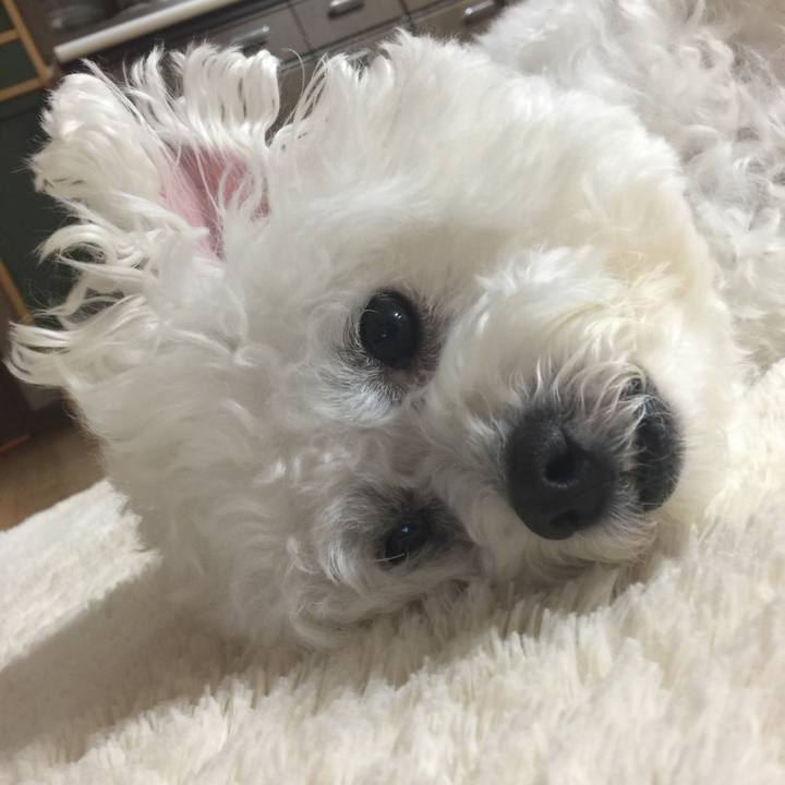 1e9a71eb 1226 4058 b2c8 804a7c8cb631