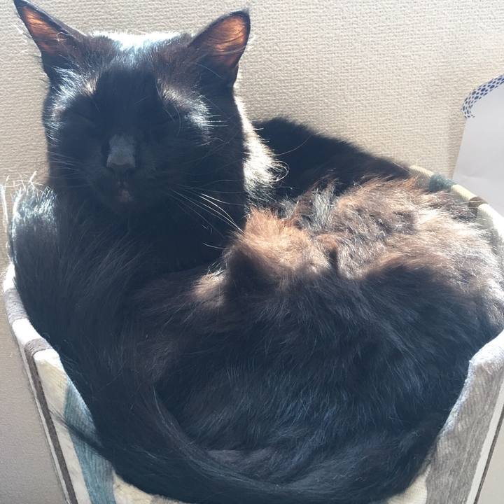 1e9a886f 86e2 4a7a a270 ccf21944c491