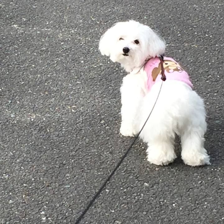 1e9acca1 b00b 43ac 8961 d2c9903bfd9a