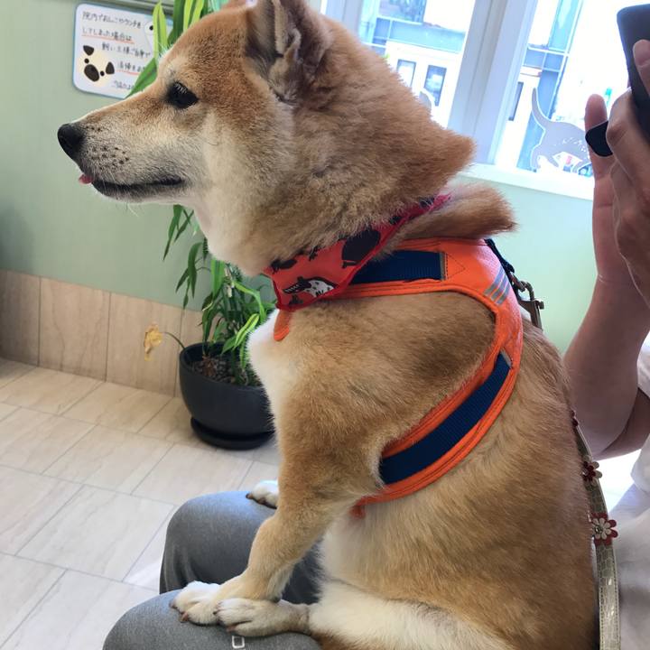 1e9bd1bd efea 4f4c ab25 b624d0431a65