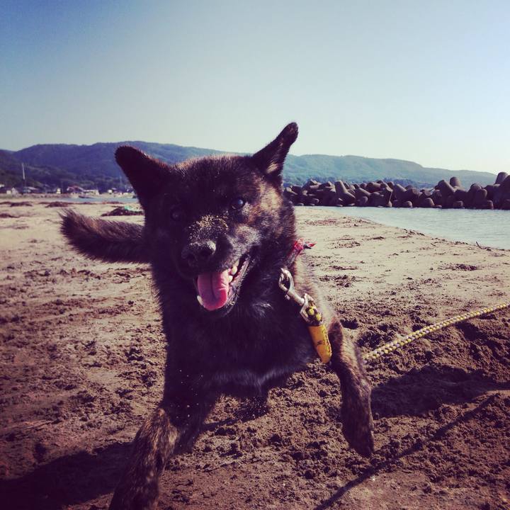 1e9bf2aa d8b8 4b05 a492 fdfae6c1c8a1