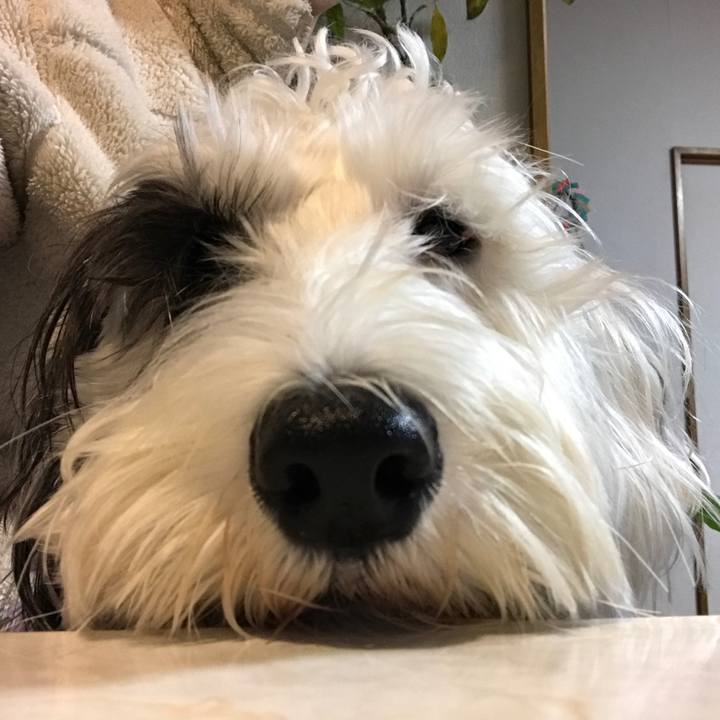 1e9c76bb d6c8 4702 85d1 e10eafbbb635