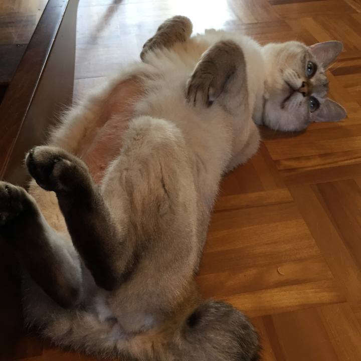 1e9cd0fd c2fe 426e b48f cb09e8e90c91