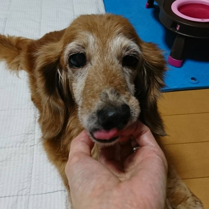 1e9d1c40 d7c8 49ed af90 d348c106c32c