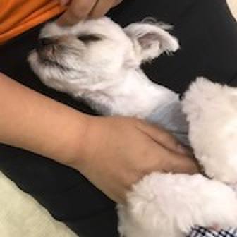 1e9dcbbd 70ef 4c2f 9293 a50f6fceac06