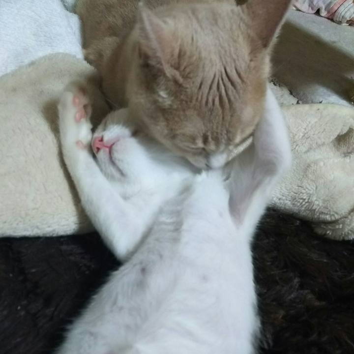 1e9ee252 64e6 4d84 81dc e4ff4d891b27