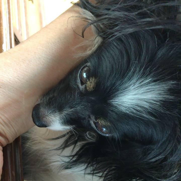 1e9f11fd ac19 433d 8e22 a7b6d6408efd