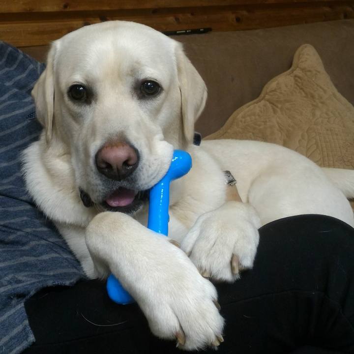 1e9f6012 073a 44a0 b208 382eaabc6975