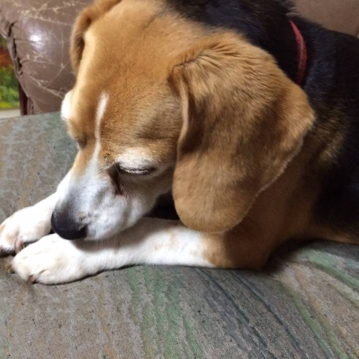 1e9f6b80 328b 485a b39c ba15d7ec4d6e