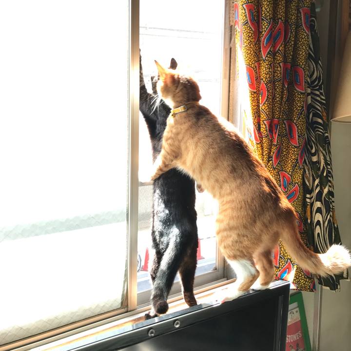 1e9fc9bb 6a83 4c5b 9f3d b69d5d28ad54