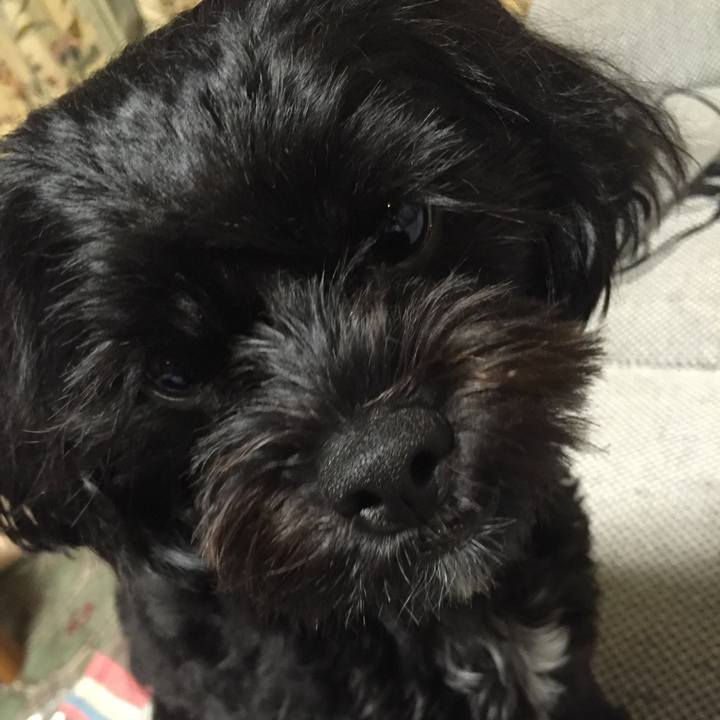 1ea02255 6c09 4431 bff0 4a99c4a6429c