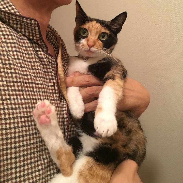 1ea044f1 e8cb 498a b849 317d7730eba4