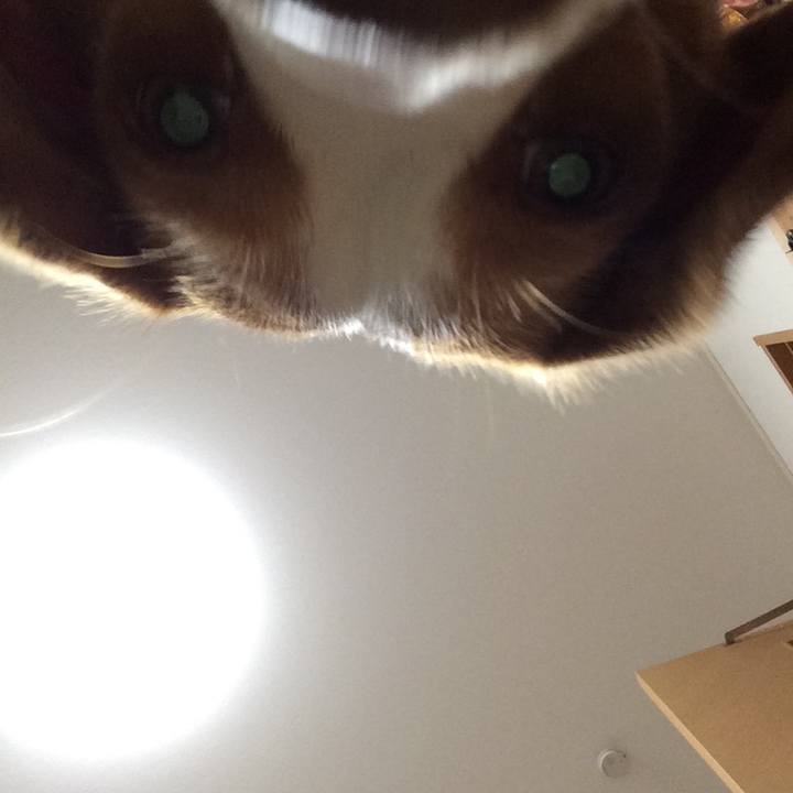 1ea0ce4b cab2 45ed a4d9 5847c4552fbf