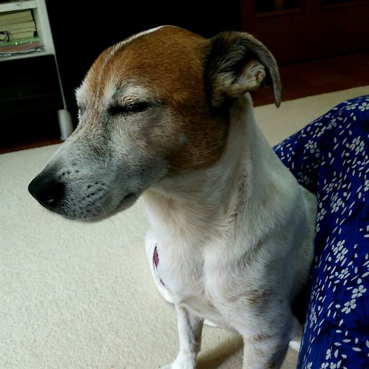 1ea10402 b1e1 4211 a41a b261e54a081e