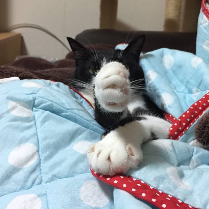 1ea17142 f954 46a8 8e9b 886a24730cee