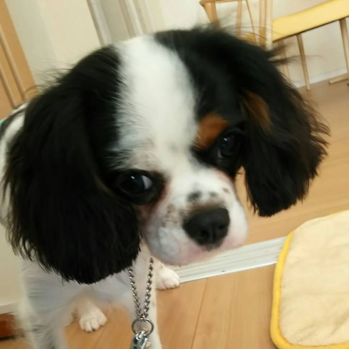 1ea1e2cd c0a5 4bdb a513 db67ba02b604