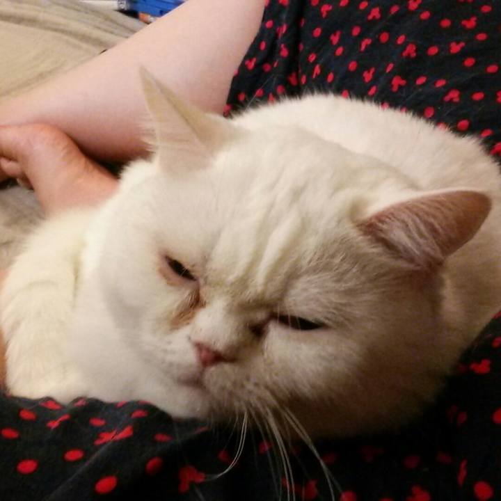 1ea231f7 3211 4136 816b 68aa251d74cd